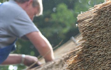 professional Penybryn thatchers